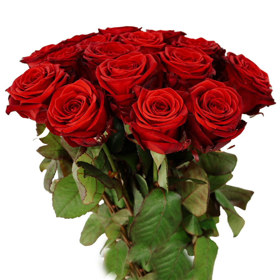 20 Rozen